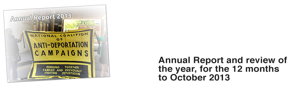 annual report 2013